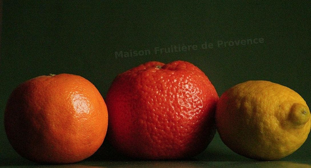 Maison Fruitière de Provence 13