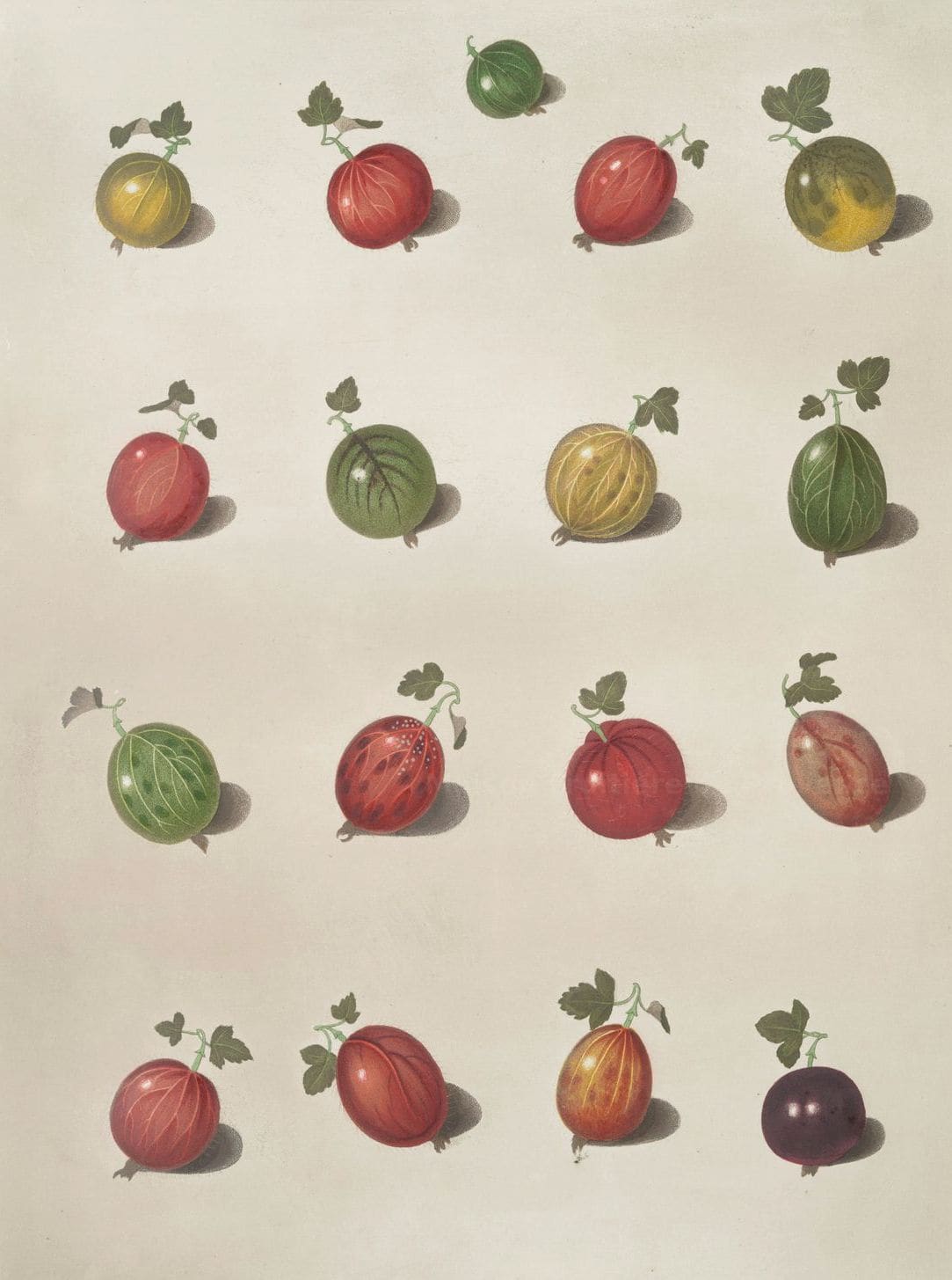 Maison Fruitière de Provence 8